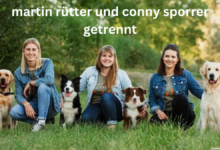 martin rütter und conny sporrer getrennt