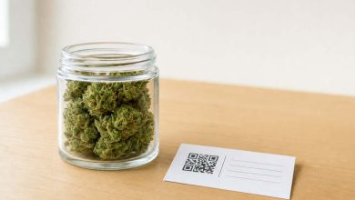 Warum Herkunft und Transparenz bei Hanfblüten aus Österreich für viele Käufer entscheidend sind Warum Herkunft und Transparenz bei Hanfblüten aus Österreich für viele Käufer entscheidend sind